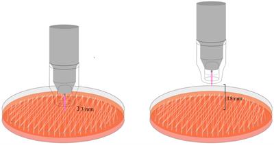 Argon cold atmospheric plasma eradicates pathogens in vitro that are commonly associated with canine bacterial keratitis